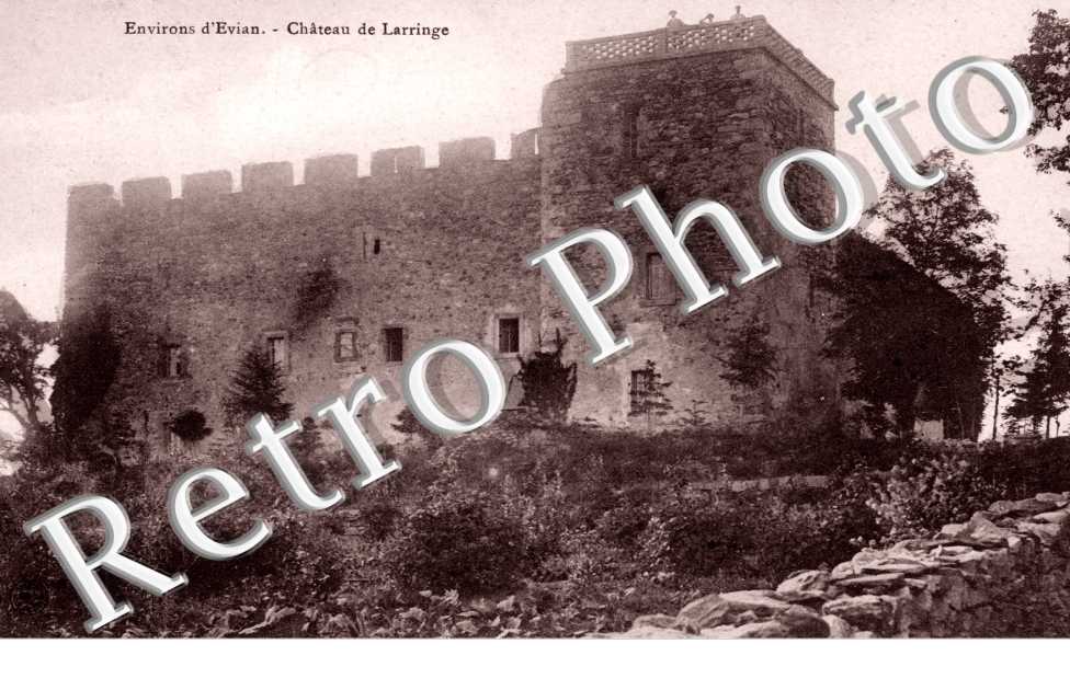 Chateau de Larringe