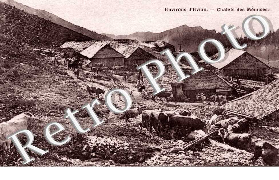 Chalets des Memises