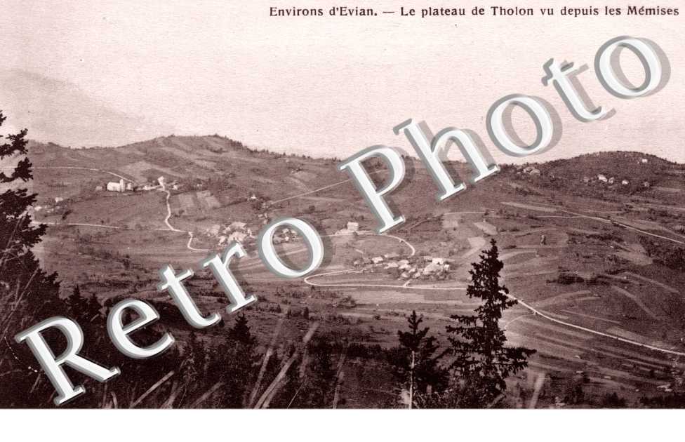 Le plateau de Tholon vu depuis les Memises