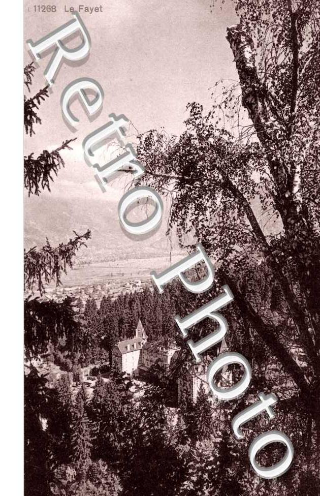 Le Fayet. Vue generale