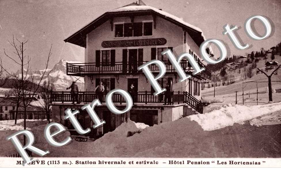 Hotel Les Hortensias