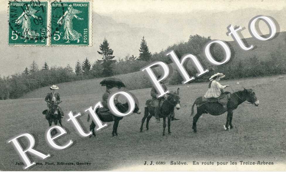 En route pour les treize-arbres