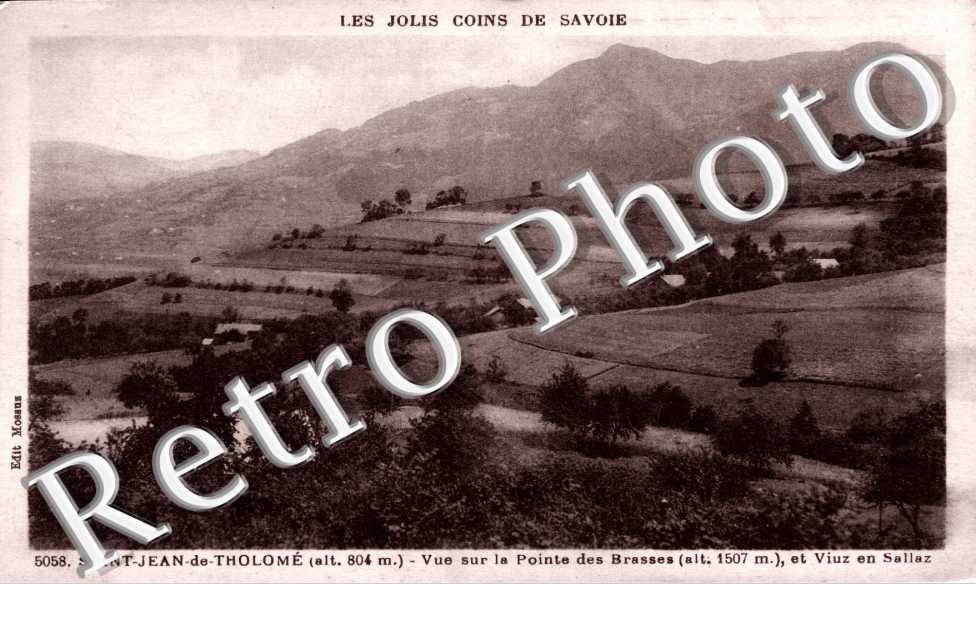 vue sur la pointe des Brasses et Viuz en Sallaz