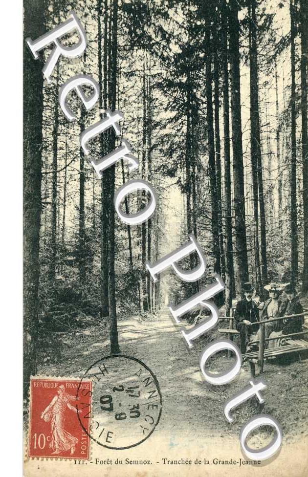 foret du Semnoz, tranchee de la Grande Jeanne