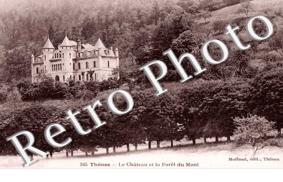 Le Chateau et la Foret du Mont