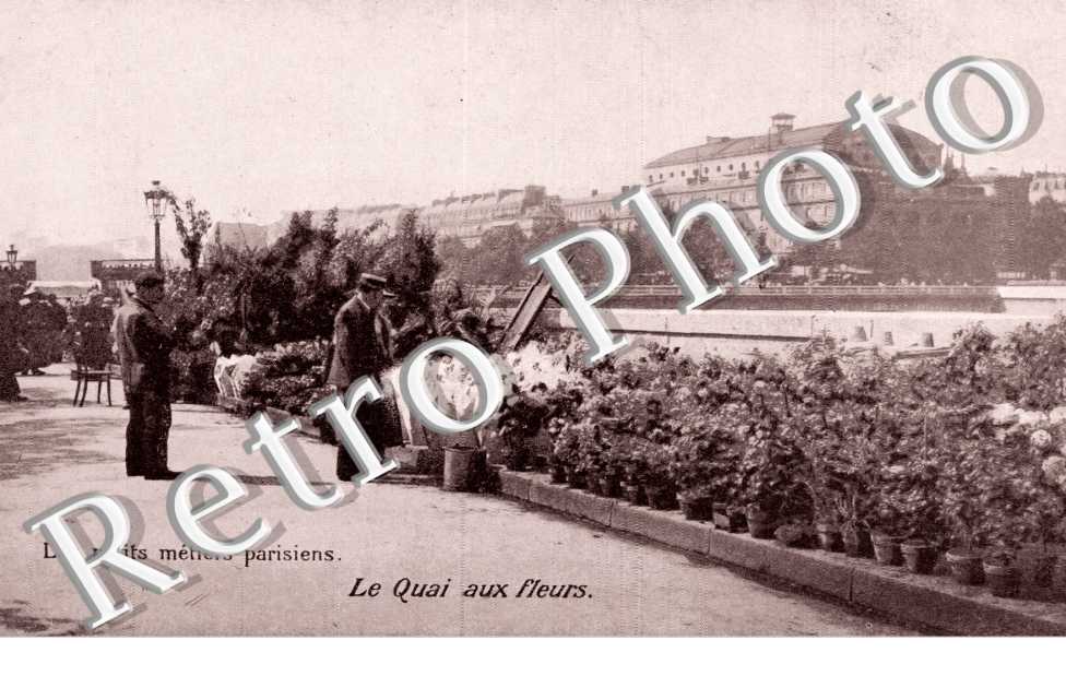 Les petits metiers parisiens Le quai aux fleurs