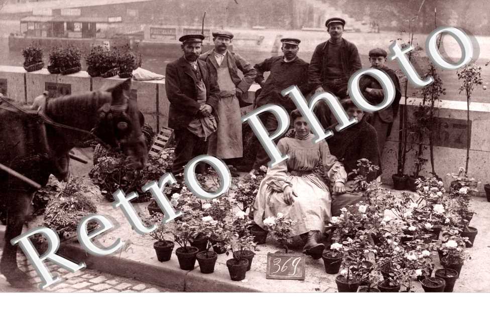 Marchandes de rosiers