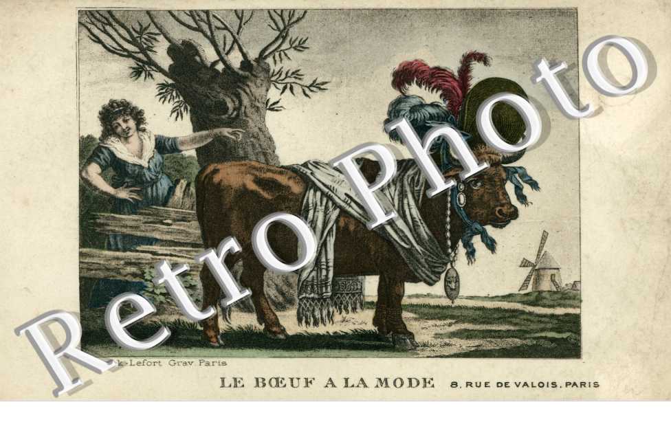 Le Boeuf a la mode  8 rue de Valois
