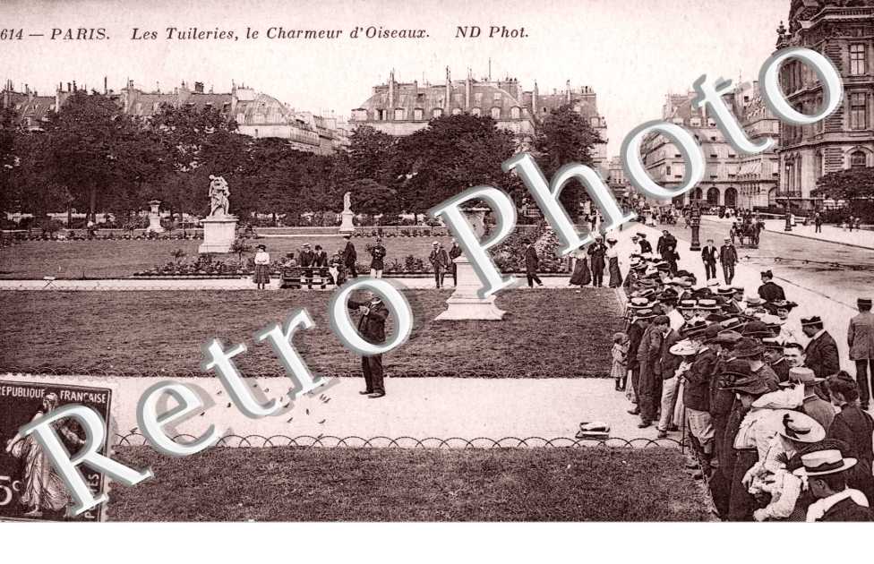 LE CHARMEUR D&#039;OISEAUX AUX TUILERIES
