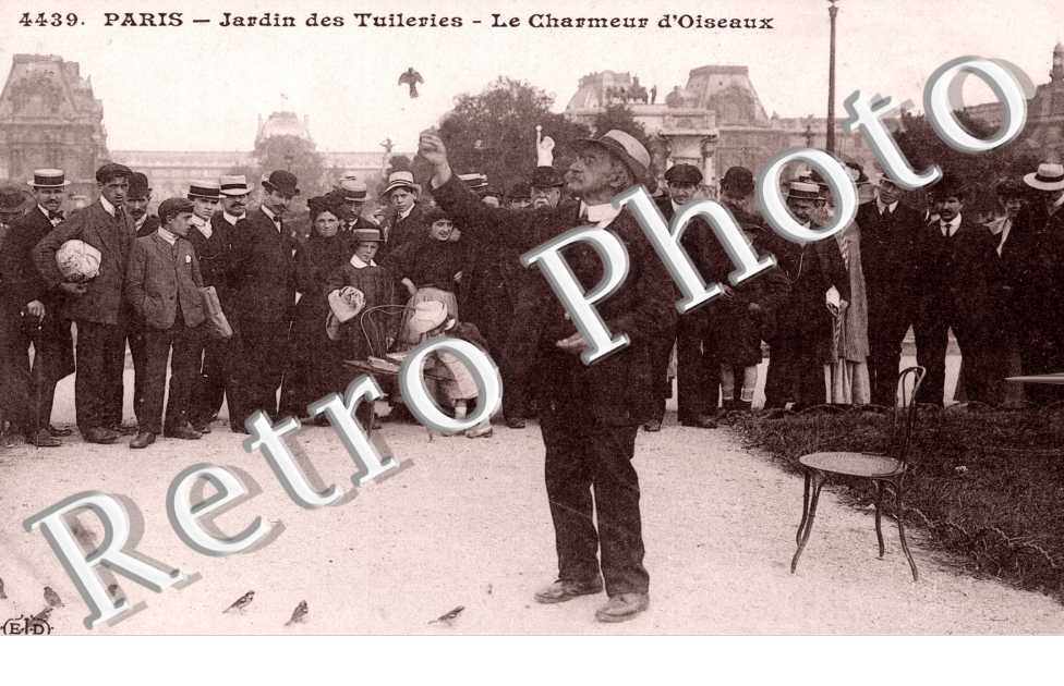 LE CHARMEUR D'OISEAUX AUX TUILERIES