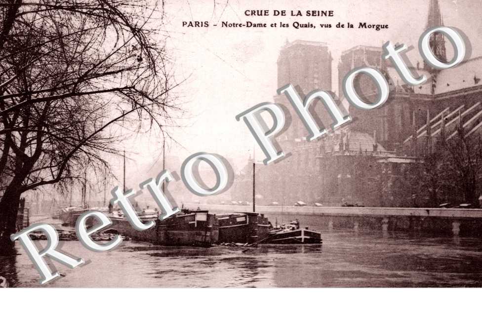 Inondations 1910, Notre Dame et les Quais