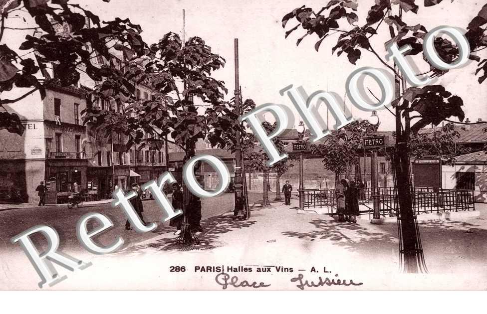 Halles aux Vins  Place Jussieu