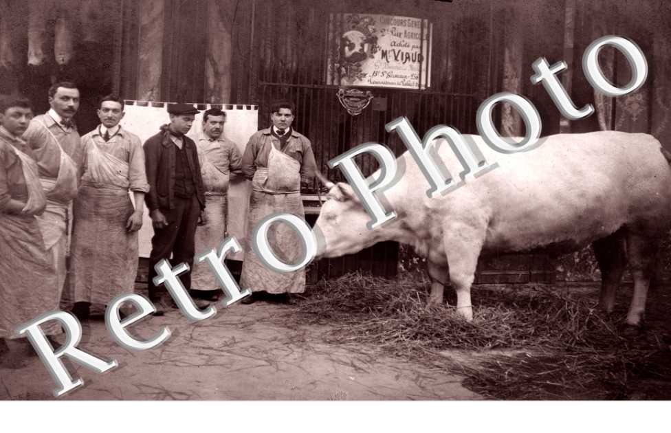 Concours general Agricole) Boulevard Saint-Germain