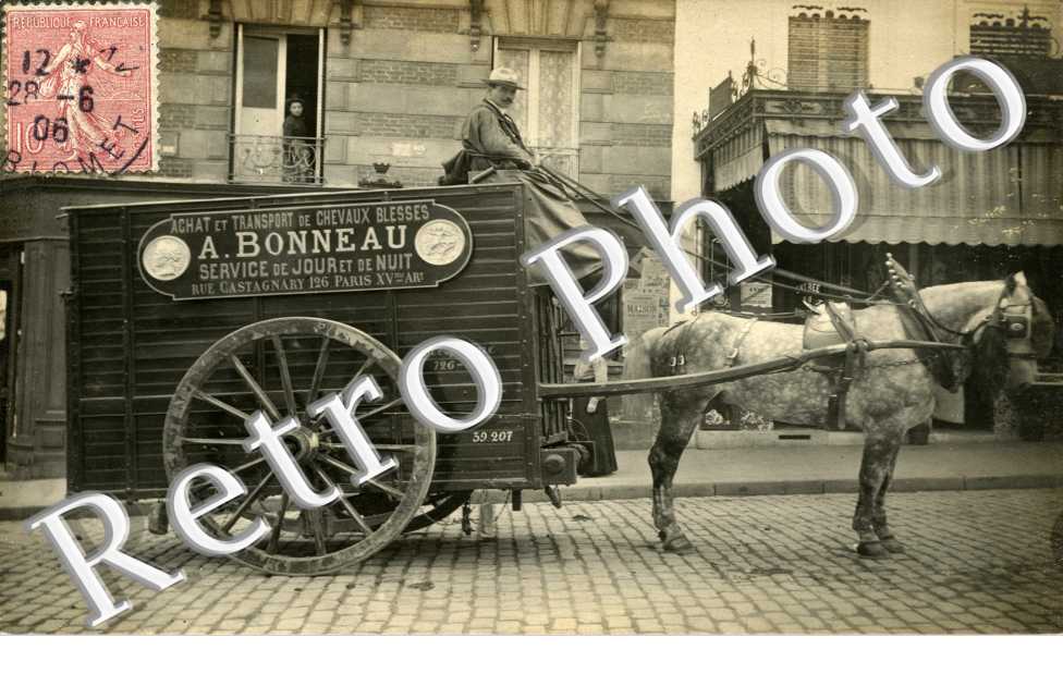 Achat et Transport de Chevaux Blesses - A Bonneau  126 Rue Castagnary 