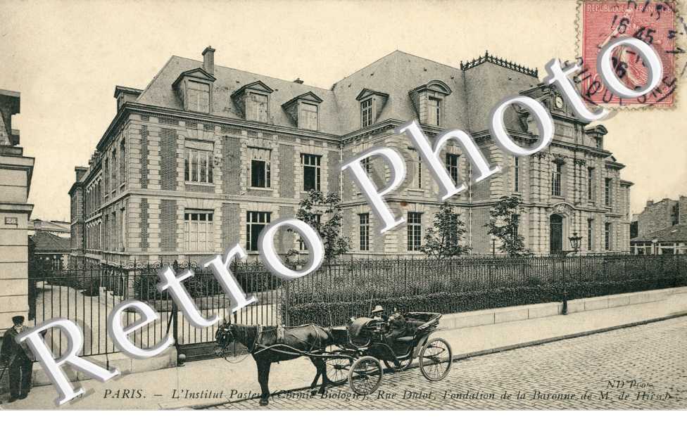 L&#039;Institut Pasteur, Rue Dutot