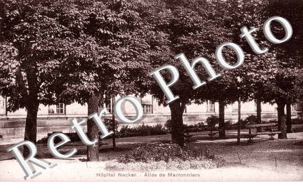 Hopital Necker, Allee de Marronniers