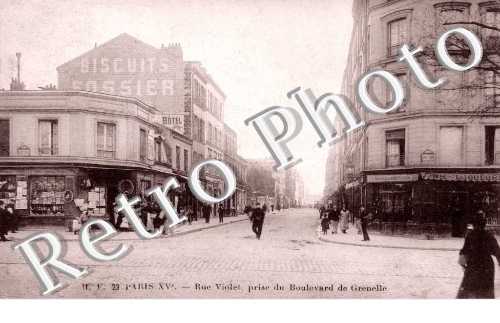 Rue Violet