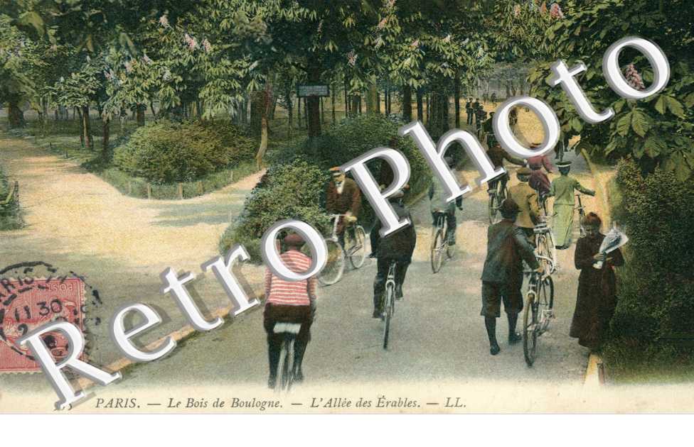 Bois de Boulogne, Allee des Erables