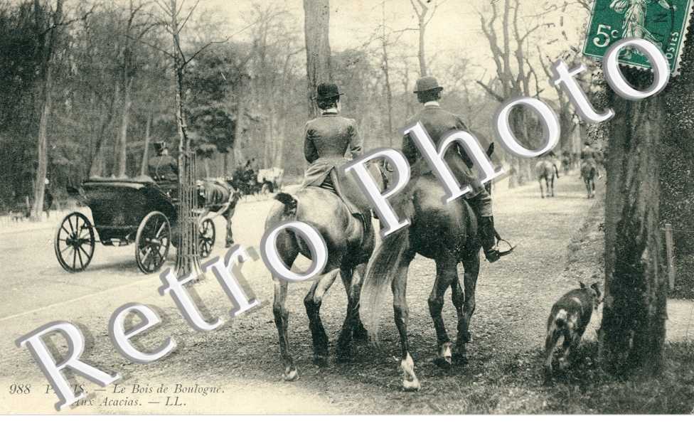 Bois de Boulogne aux acacias