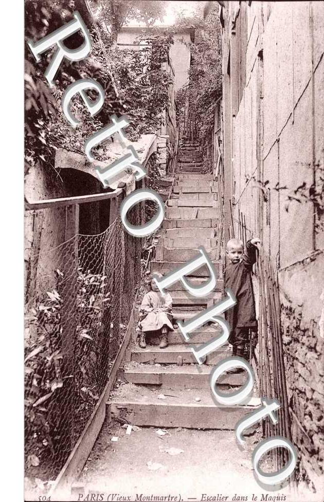 Montmartre escalier dans le maquis