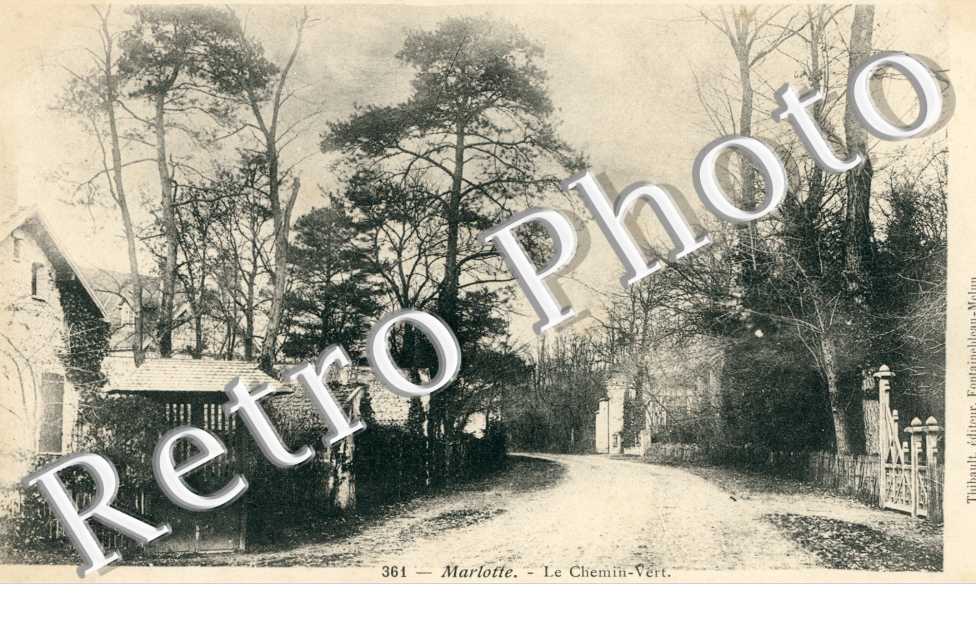 Marlotte, le Chemin-Vert