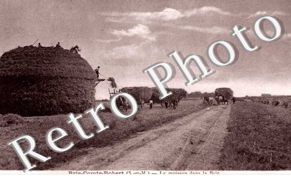 La Moisson dans la Brie
