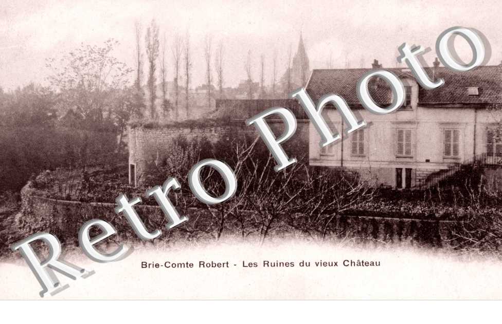 les Ruines du vieux Chateau