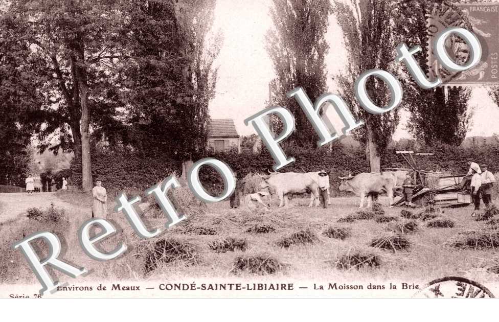 la Moisson dans le Brie