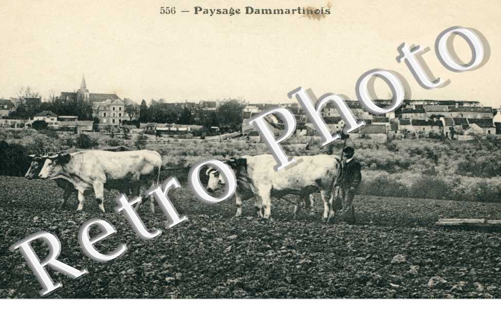 Paysage Dammartinois