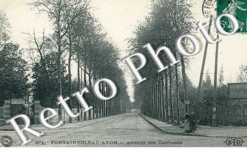 Fontainebleau-Avon, Avenue des Carrosses