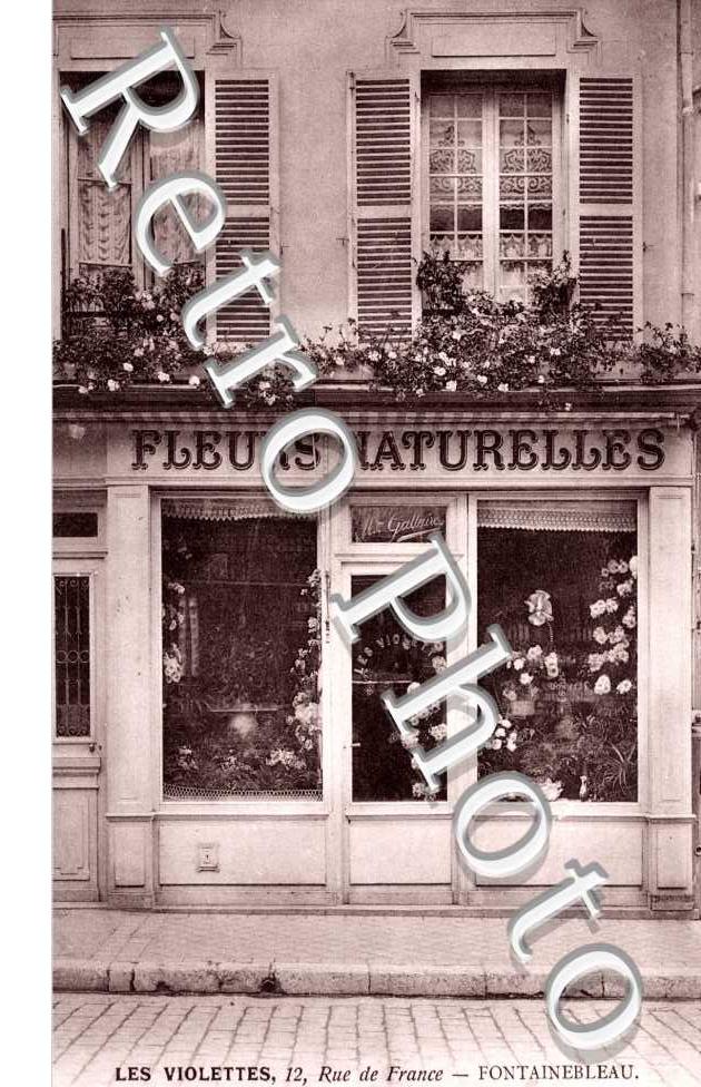 Rue de France, les Violettes