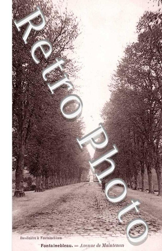 Avenue de Maintenon