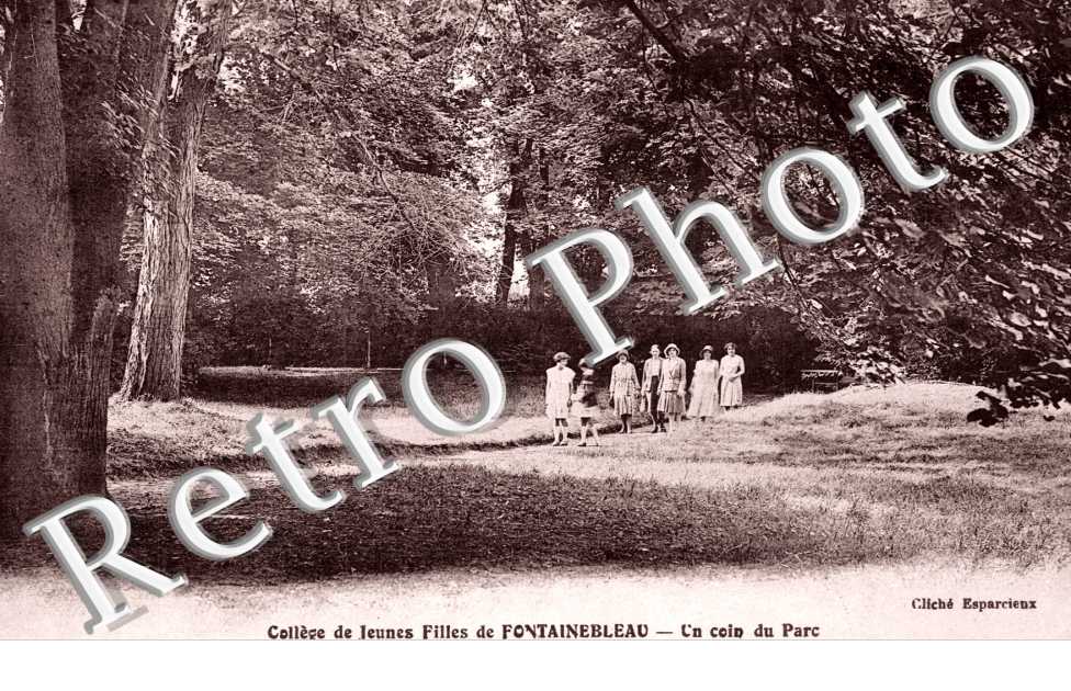 Un coin du parc