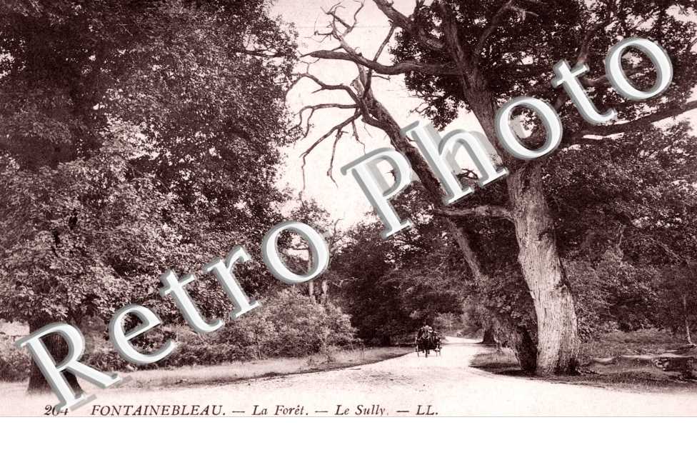 Une Allee