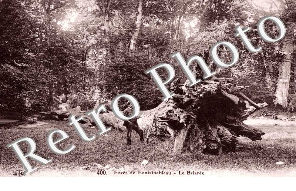le Briare