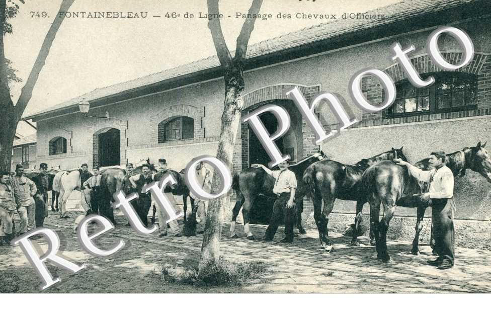 46eme de Ligne, Pensage des Chevaux d'Officiers