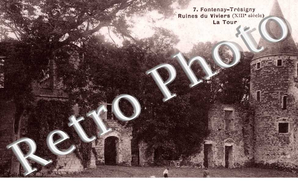 Ruines du Viviers - la Tour