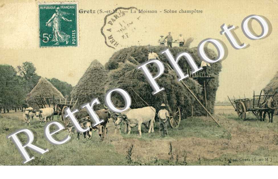 la moisson - scene champetre