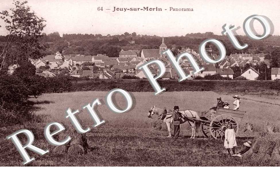 panorama
