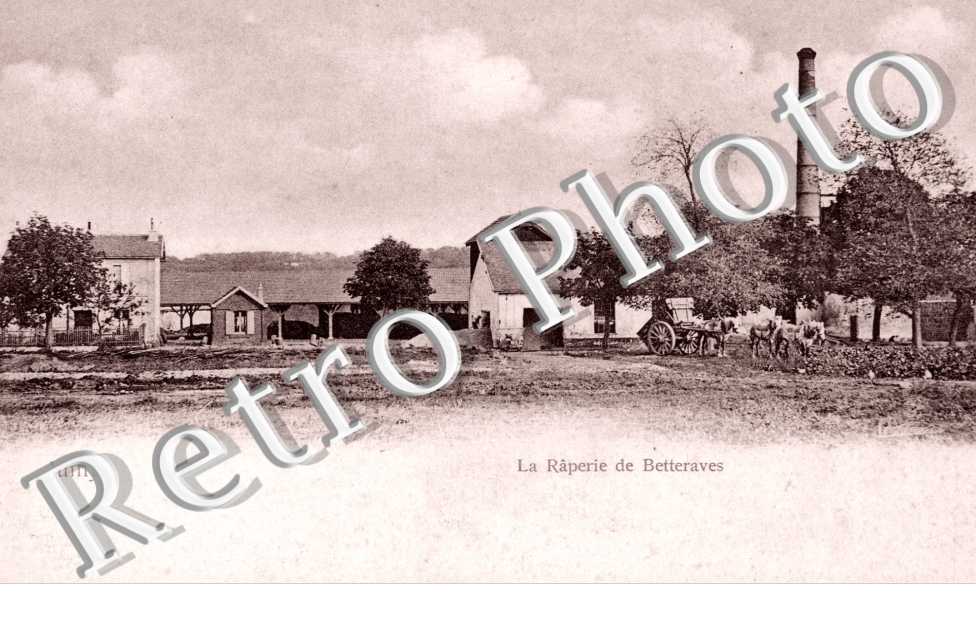 la raperie de betteraves