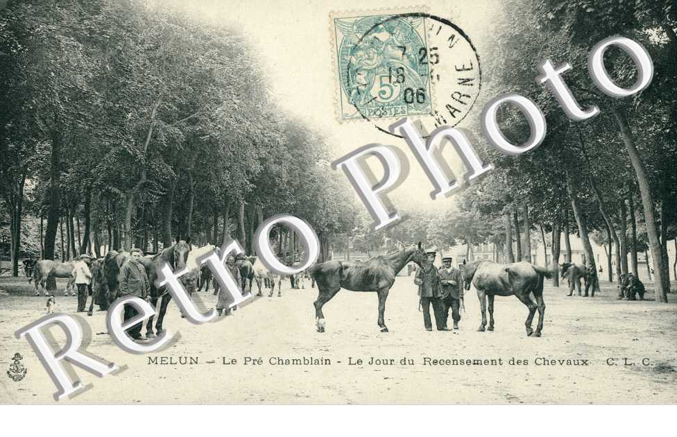 le Pre Chamblain, le Jour du Recensement des Chevaux