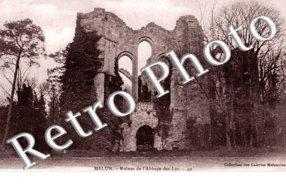 Ruines de l'Abbaye des Lys