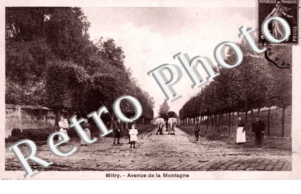 Avenue de la Montagne