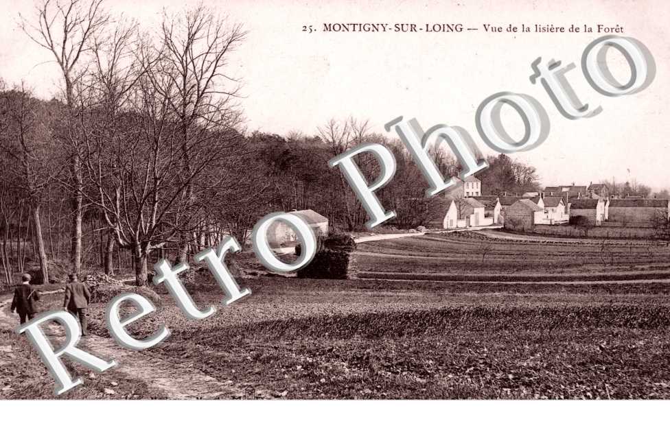 Vue de la Lisiere de la Foret