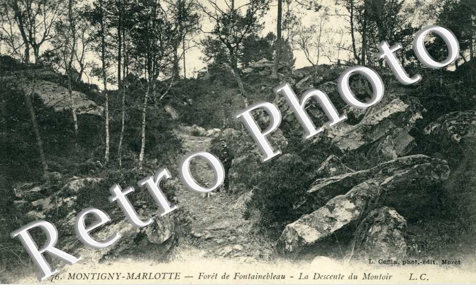 Montigny-Marlotte, Foret de Fontainebleau, la Descente du Montoir