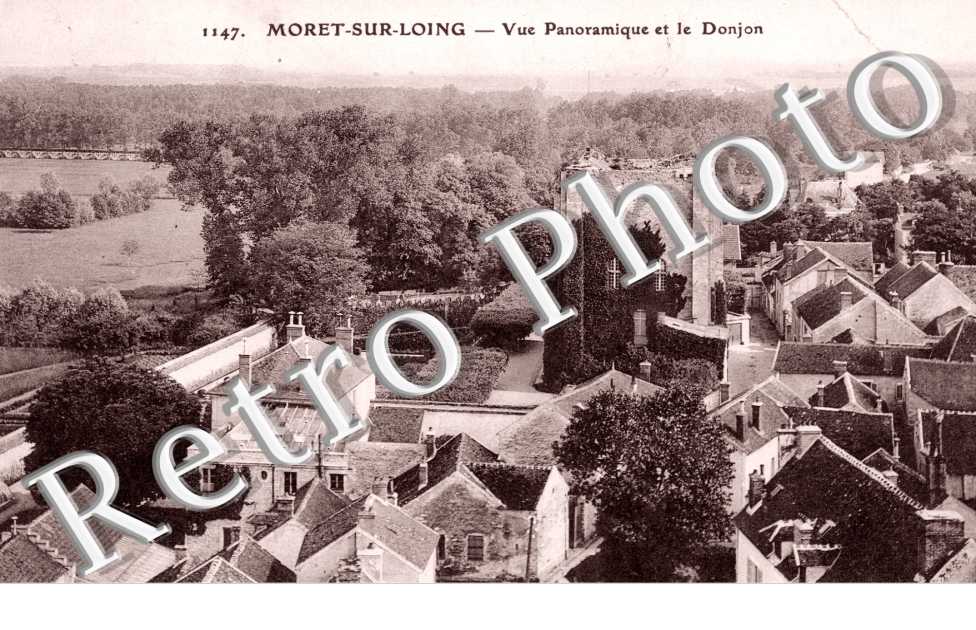 Vue Panoramique et le Donjon