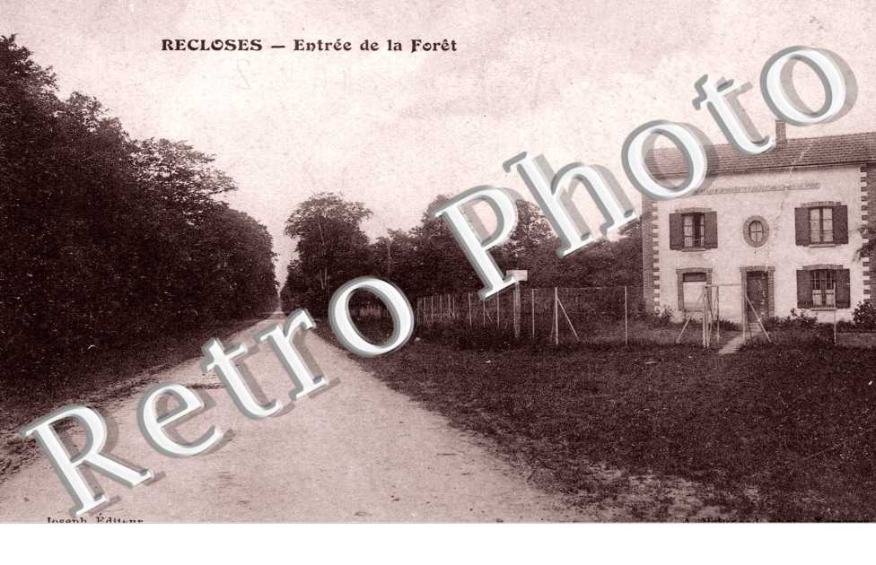 Entree de la Foret