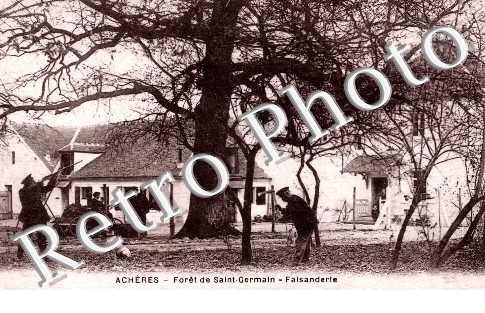 ForÃªt de Saint Germain - Faisanderie