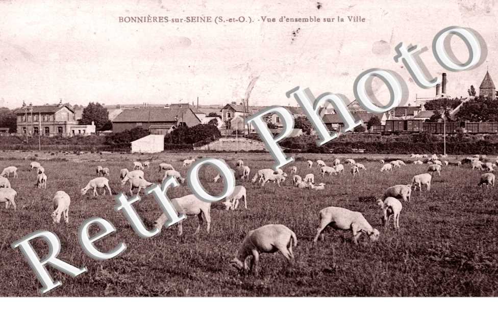 Vue d&#039;ensemble