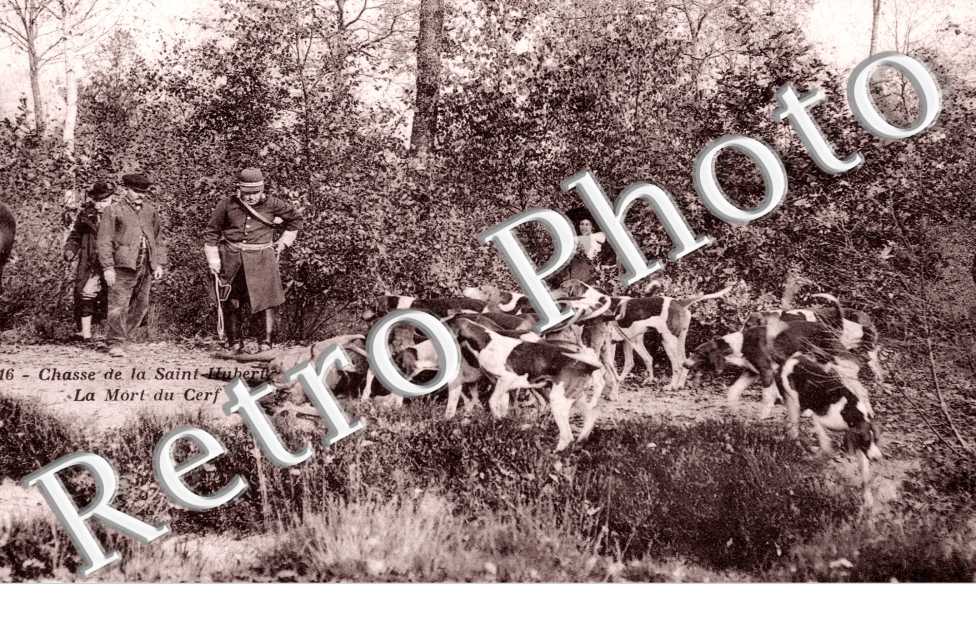 Chasse de la Saint Hubert, la mort d&#039;un cerf